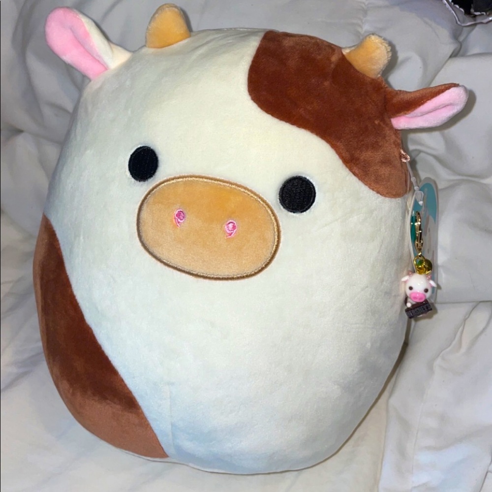 Ronnie the Cow Squishmallow 🐮